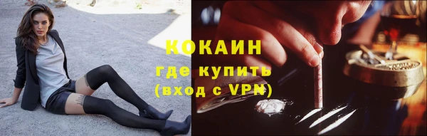 PSILOCYBIN Верея