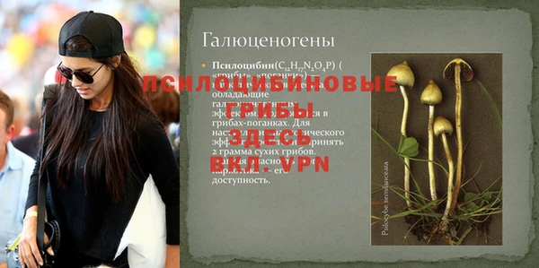 PSILOCYBIN Верея
