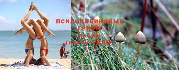PSILOCYBIN Верея