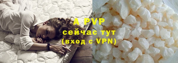 PSILOCYBIN Верея