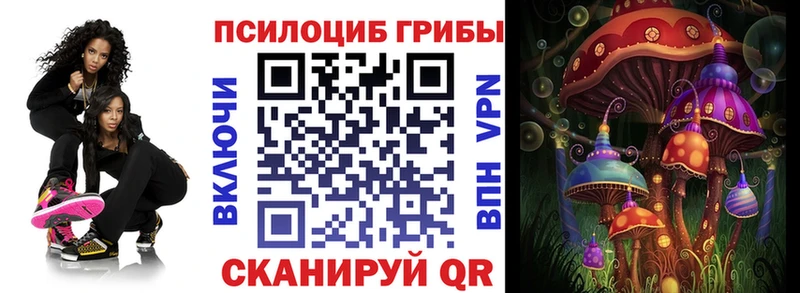 Псилоцибиновые грибы Psilocybe  закладка  Горнозаводск 